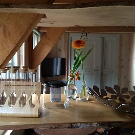 Apartment Achterhuis